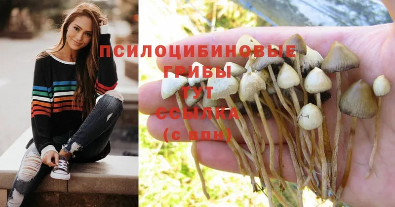 Галлюциногенные грибы MAGIC MUSHROOMS  купить   Верхняя Салда 